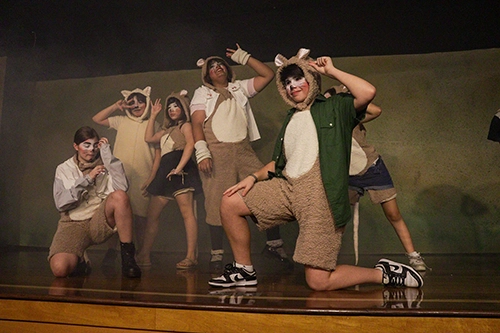 Apresentação de teatro